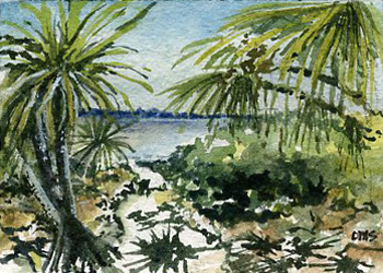 Lady Elliot Island  Diane Strobel Cedarburg WI watercolor SOLD